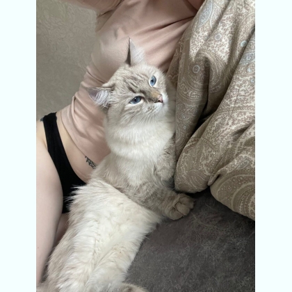 ��� ���p��� ����� ������������� ��� ���e��� 